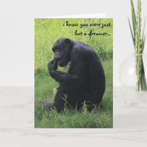 Funny Graduation Chimpanzee Dreamer Lemur Grad Card