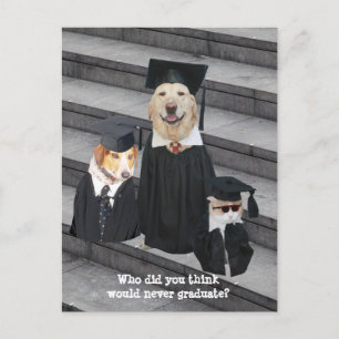 Funny Graduation Customizable Announcement Postcar
