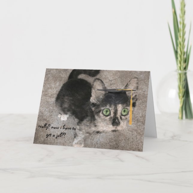 Funny Graduation, Wide-Eyed Kitten Card (Front)