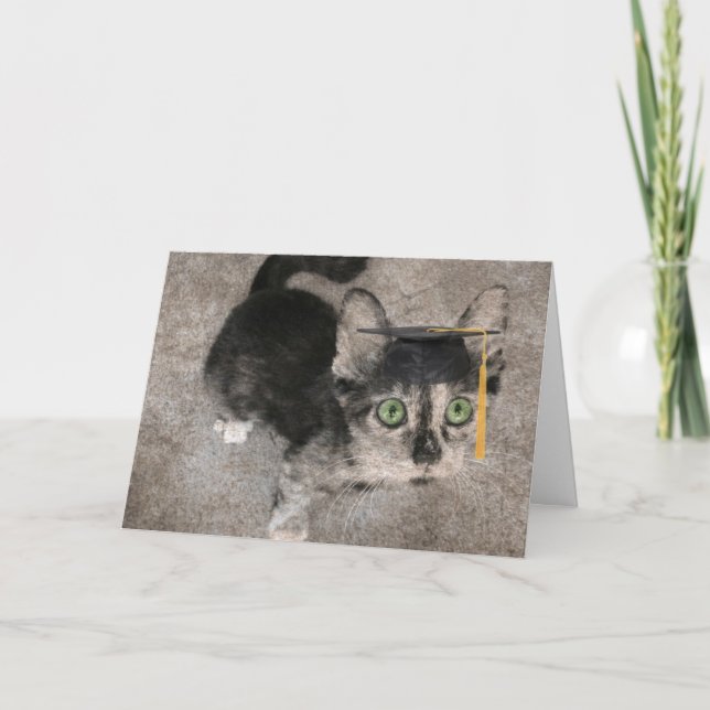 Funny Graduation, Wide Eyed Kitten Card (Front)
