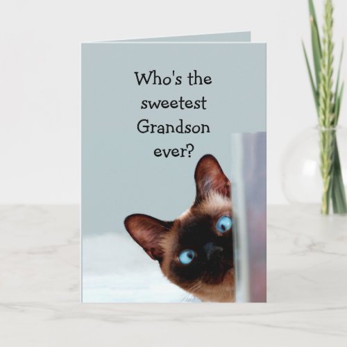 Funny Grandson Birthday Wishes Siamese Cat Card