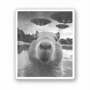Funny Graphic Capybara Selfie with UFOs Weird Sticker
