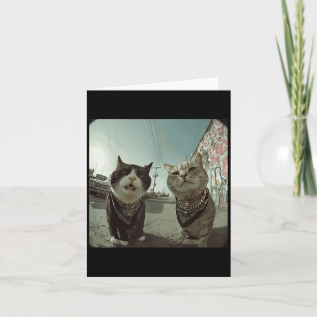 Funny Graphic Cat Gangster Funny _2  Card (Front)