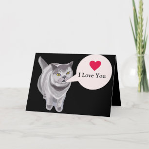 Funny gray fat cat Valentine’s Card