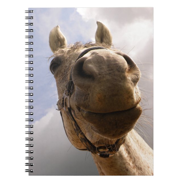 Funny Gray Horse Nose Close Up Notebook (Front)