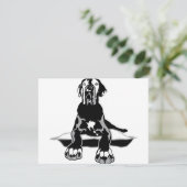 Funny Great Dane Ilios  (Standing Front)