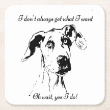 funny dog coasters