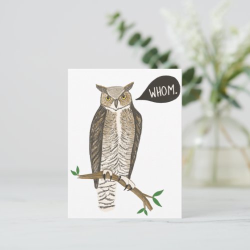 Funny Great Horned Owl WHOM Grammar  Postcard