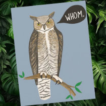 Funny Great Horned Owl WHOM Grammar  Postcard