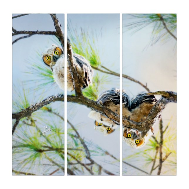 Funny Great Horned Owlets Fine Art Wildlife Photo  (Front)