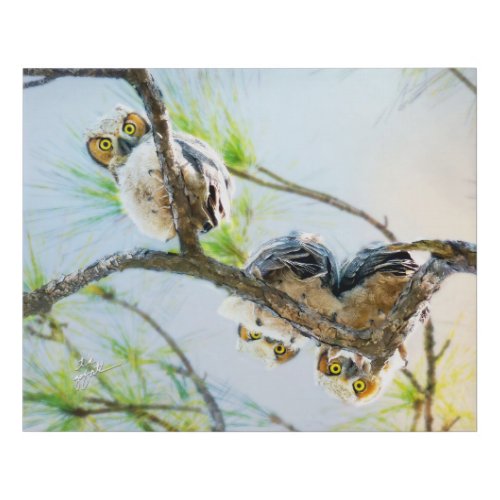 Funny Great Horned Owlets Fine Art Wildlife Photo Faux Canvas Print