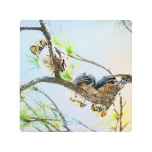 Funny Great Horned Owlets Just Hanging Around Metal Print