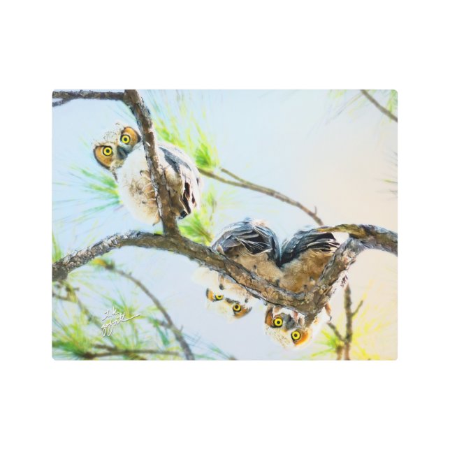 Funny Great Horned Owlets Just Hanging Out Metal Print (Front)