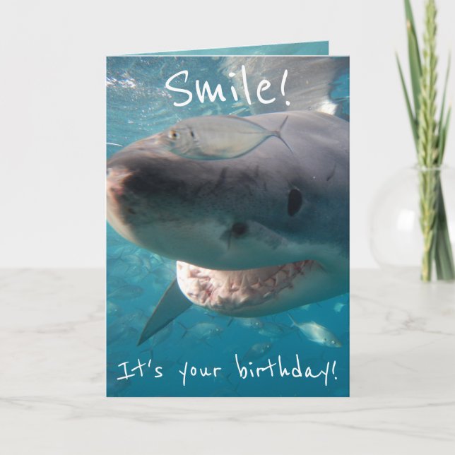 Funny Great White Shark Birthday Card (Front)