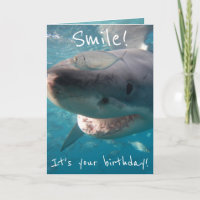 Funny Great White Shark Birthday