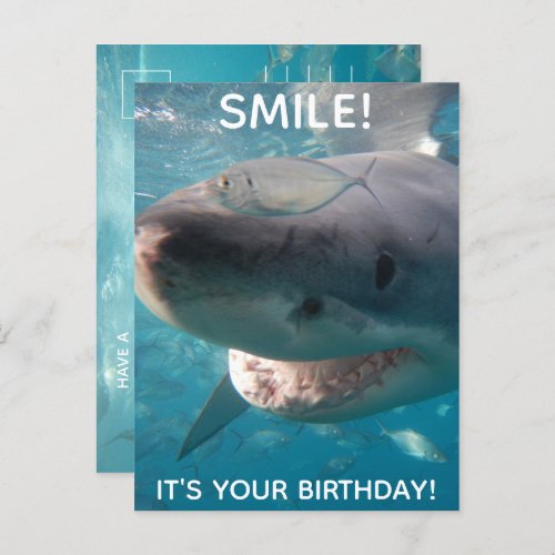 Funny Great White Shark Birthday Postcard