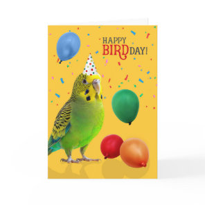 Funny Green and Yellow Budgie Parakeet Birthday Card