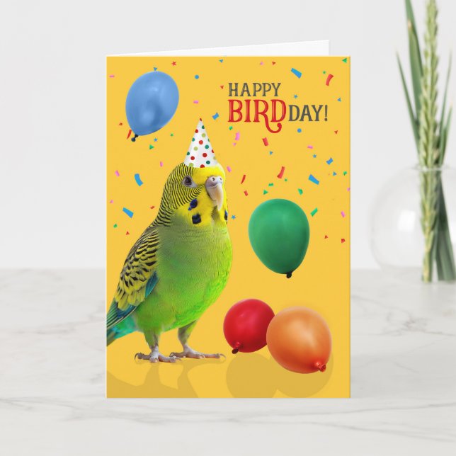Funny Green and Yellow Budgie Parakeet Birthday Card (Front)
