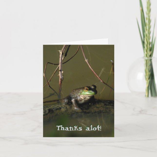 Funny Green Frog Thank You Card (Front)