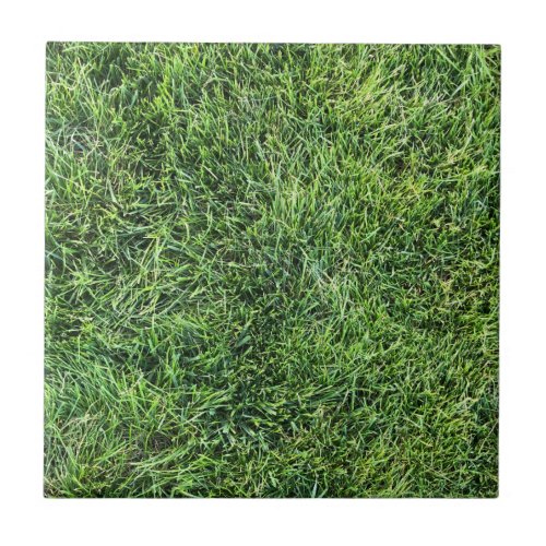 Funny green grass real photo texture pattern fun ceramic tile
