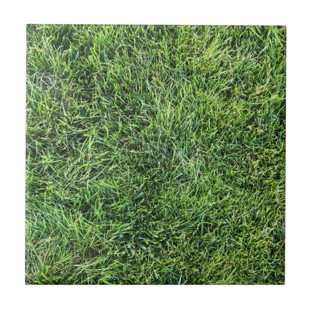 Funny green grass real photo texture pattern fun ceramic tile (Front)