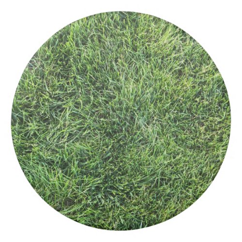 Funny green grass real photo texture pattern fun eraser