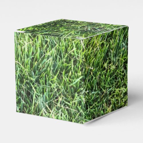Funny green grass real photo texture pattern fun favor boxes