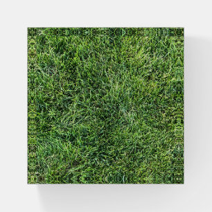 Funny green grass real photo texture pattern fun paperweight