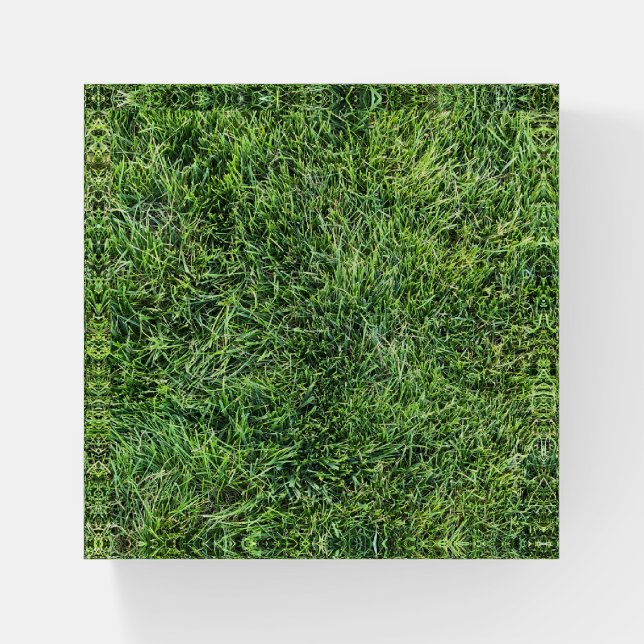 Funny green grass real photo texture pattern fun paperweight (Front)