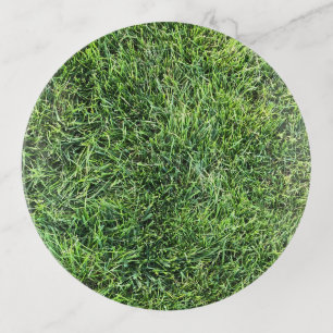Funny green grass real photo texture pattern fun trinket tray