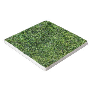 Funny green grass real photo texture pattern fun trivet