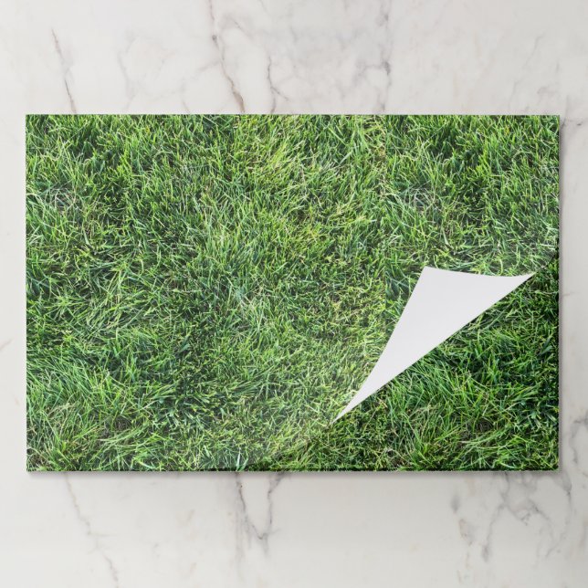 Funny green grass real photo texture placemats (Folded)