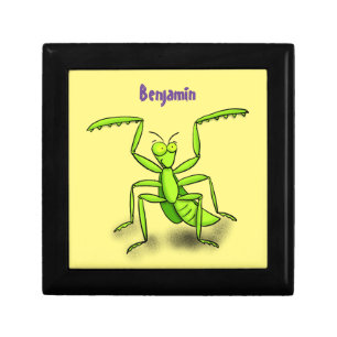 Funny green praying mantis cartoon illustration gift box