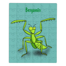 Funny green praying mantis cartoon illustration