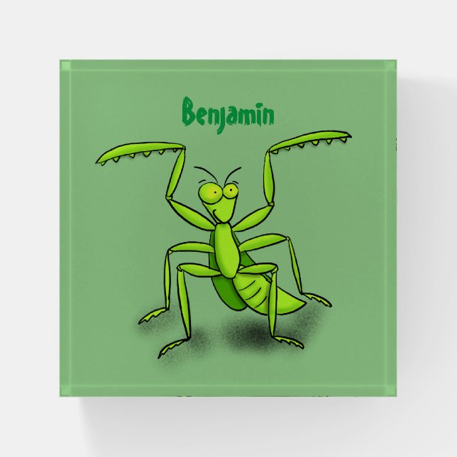 Funny green praying mantis cartoon illustration paperweight (Front)