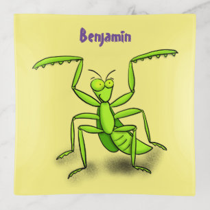 Funny green praying mantis cartoon illustration trinket tray