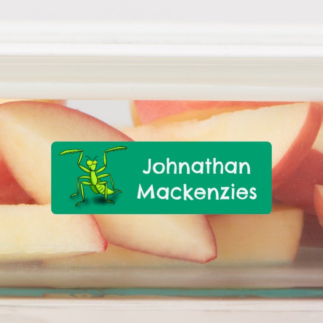 Funny green praying mantis cartoon personalized labels (Affixed)