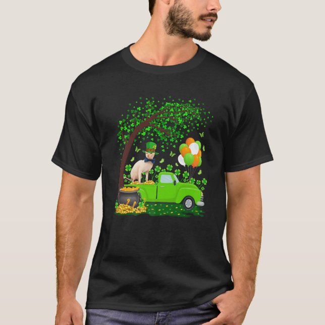 Funny Green Truck Shamrock Leaf Sphynx Cat St Patr T-Shirt (Front)