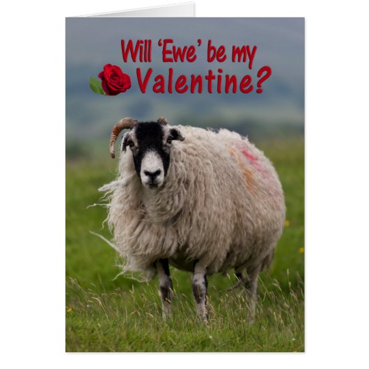 Funny greetings card (Front)