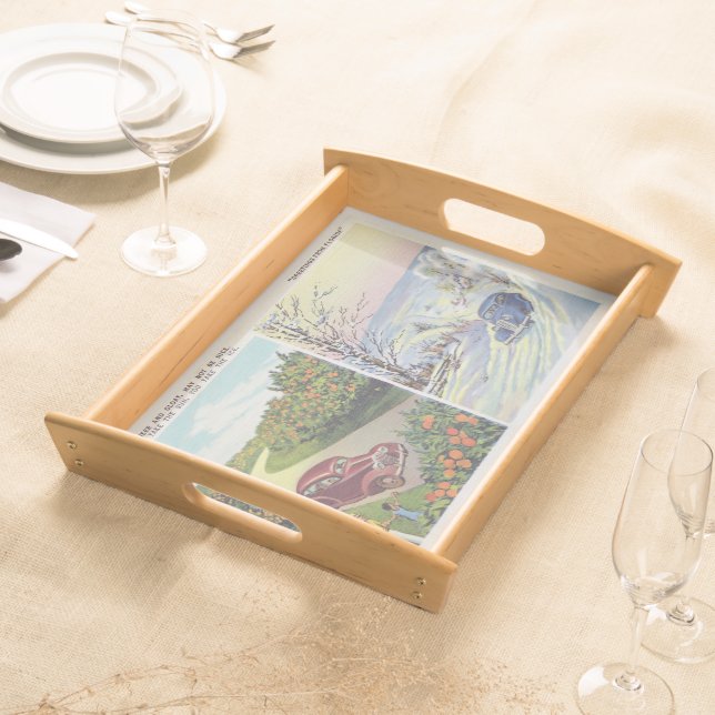 Funny Greetings From Florida Serving Tray (Front)