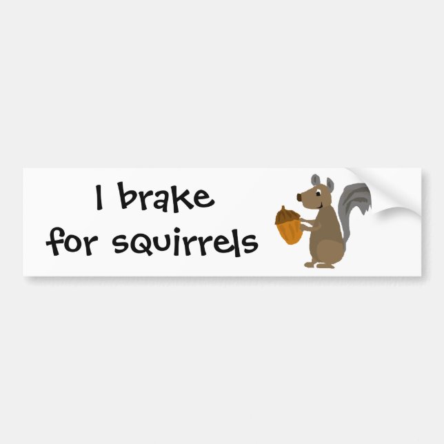 Funny Grey Squirrel with Acorn Bumper Sticker (Front)