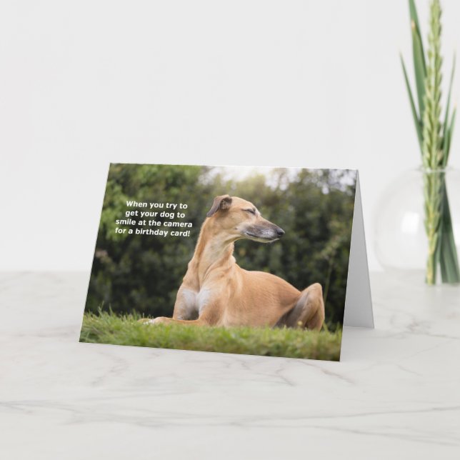 Funny Greyhound Dog Birthday Card (Front)