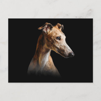 Funny Greyhound Face Greyhound Smile greyhound Holiday Postcard