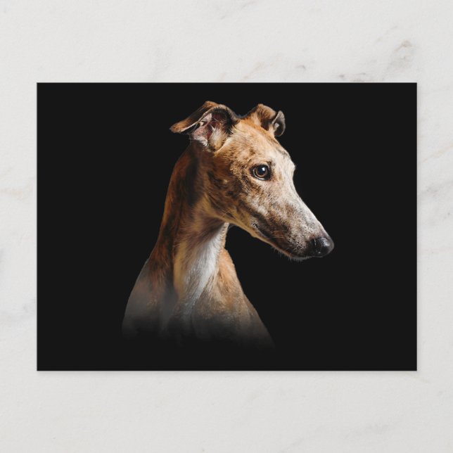 Funny Greyhound Face Greyhound Smile greyhound Holiday Postcard (Front)
