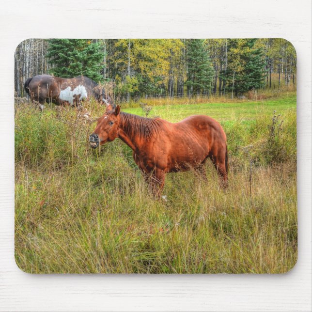 Funny Grinning Chestnut Mare & Pasture Photo Mouse Pad (Front)