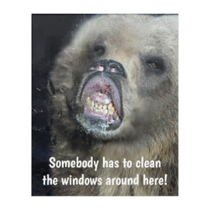 Funny Grizzly Bear Cub Licking The Glass Window Acrylic Print