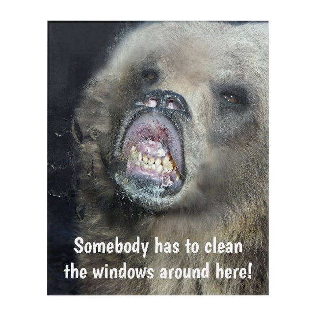 Funny Grizzly Bear Cub Licking The Glass Window Acrylic Print (Front)