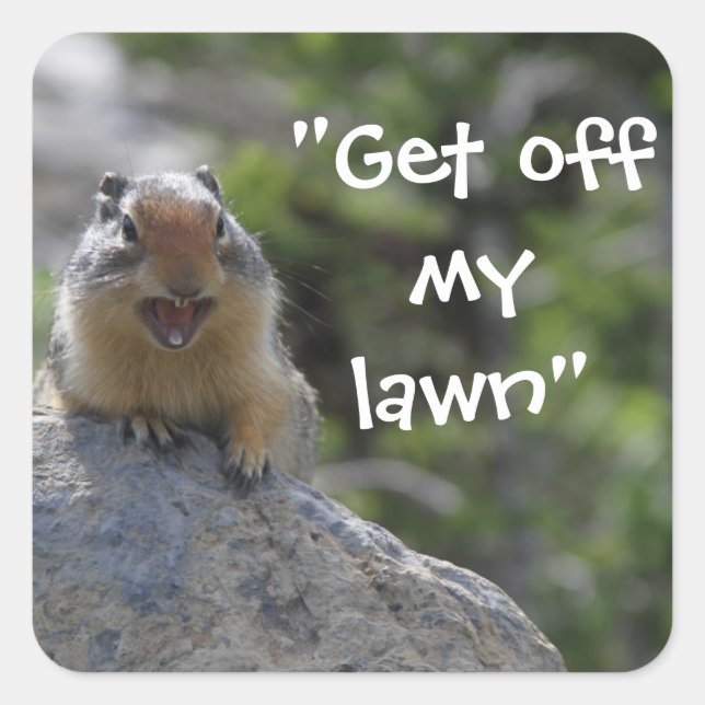 Funny Ground Squirrel Square Sticker (Front)