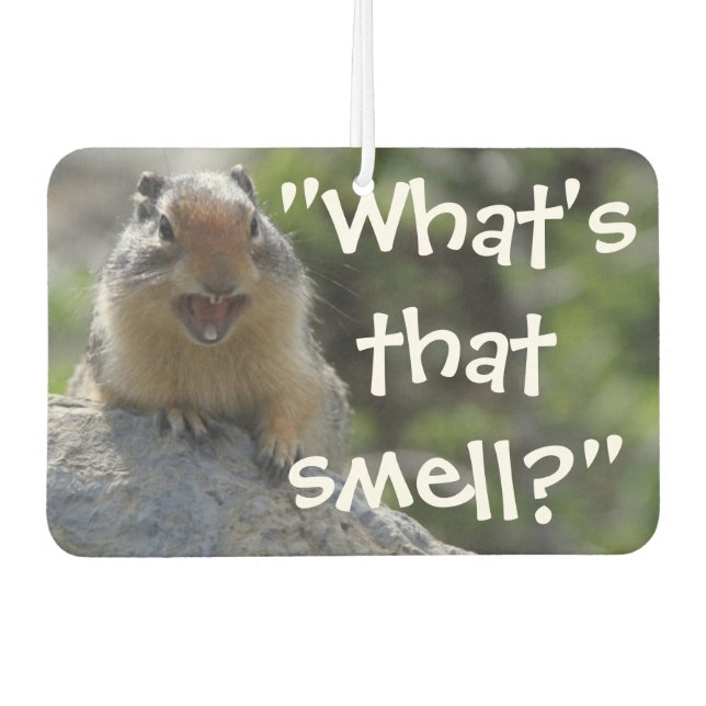 Funny Ground Squirrel Whats That Smell Air Freshener (Front)