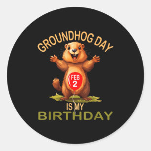 Funny Groundhog Day Is My Birthday, Cute Groundhog Classic Round Sticker